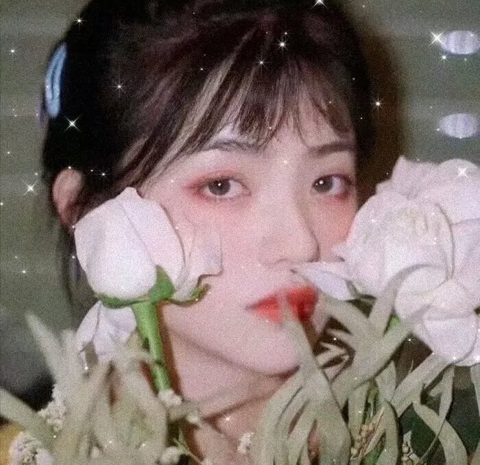 我的冤家是条狗